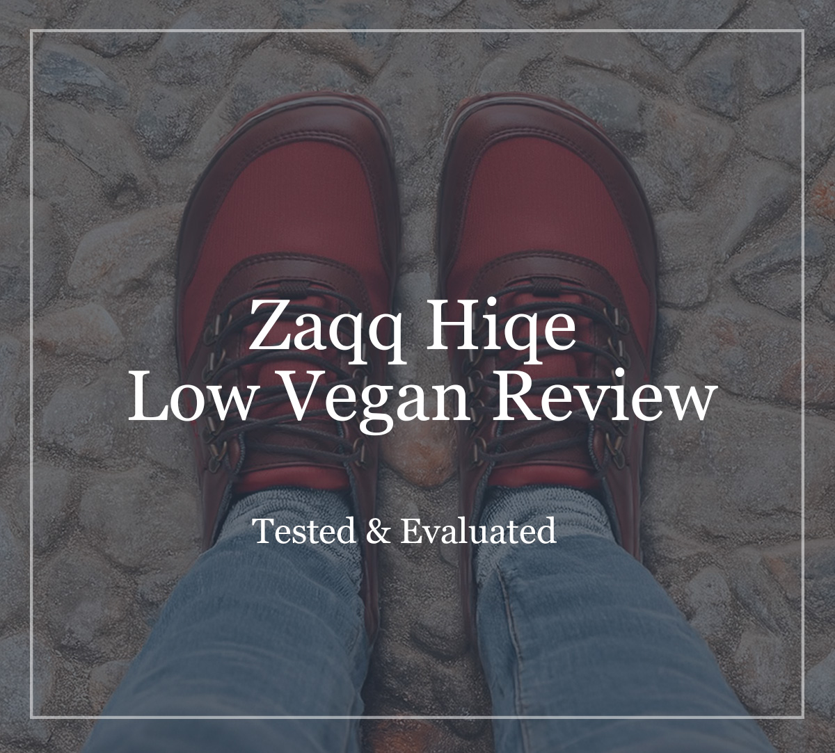 Zaqq Hiqe Low Vegan Review