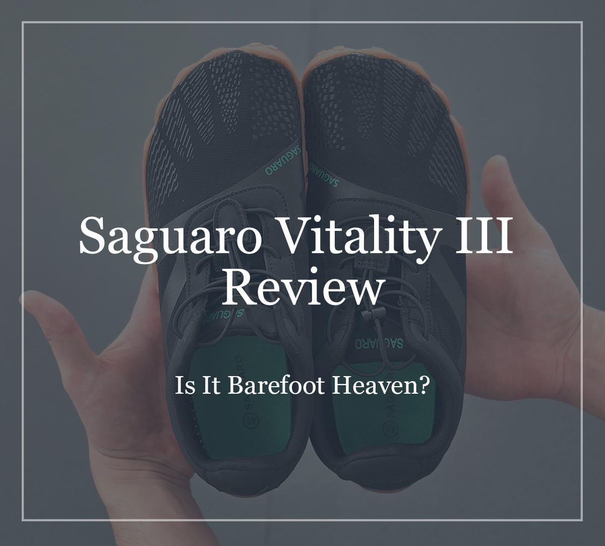 Saguaro Vitality III Review