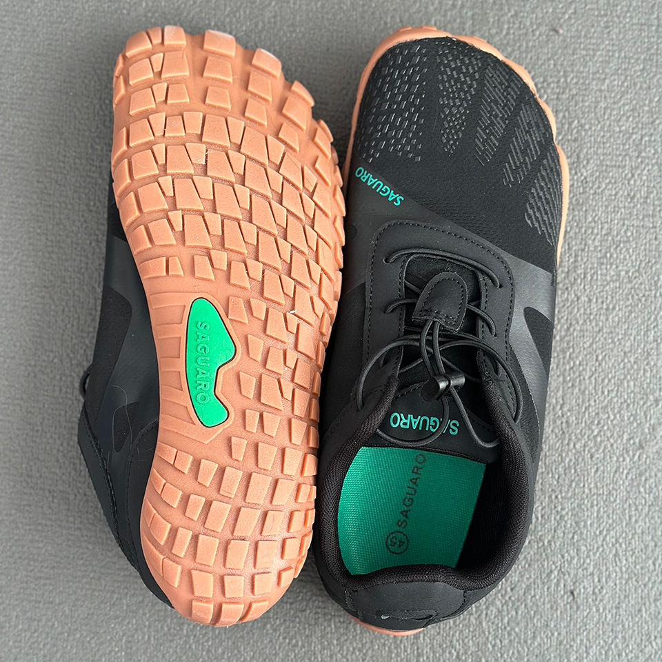 Saguaro Vitality III