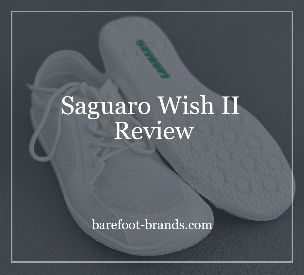 Saguaro Wish II Review