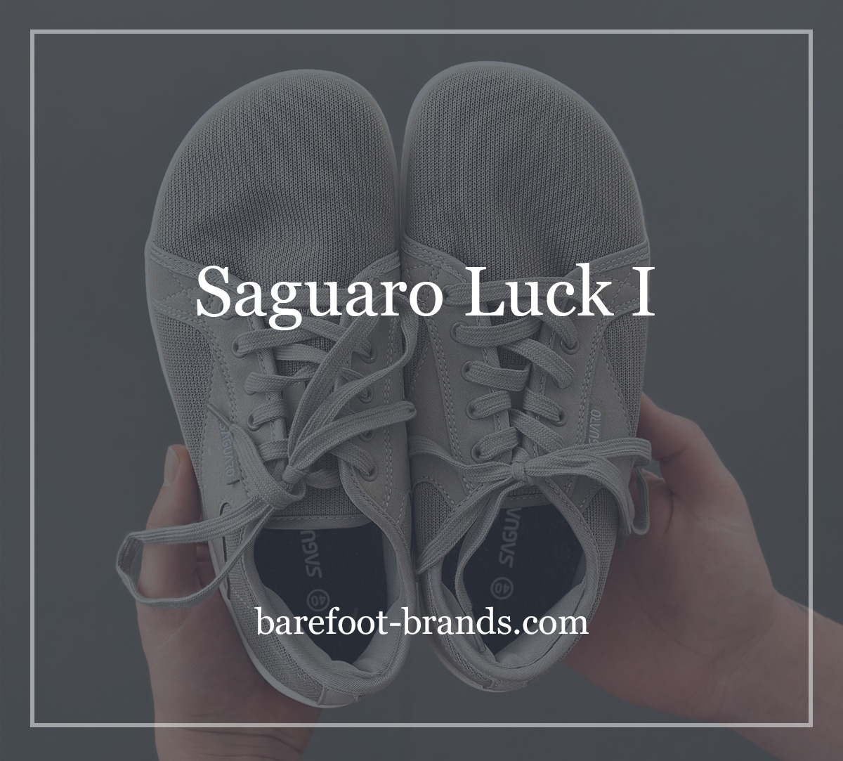 Saguaro Luck I Review
