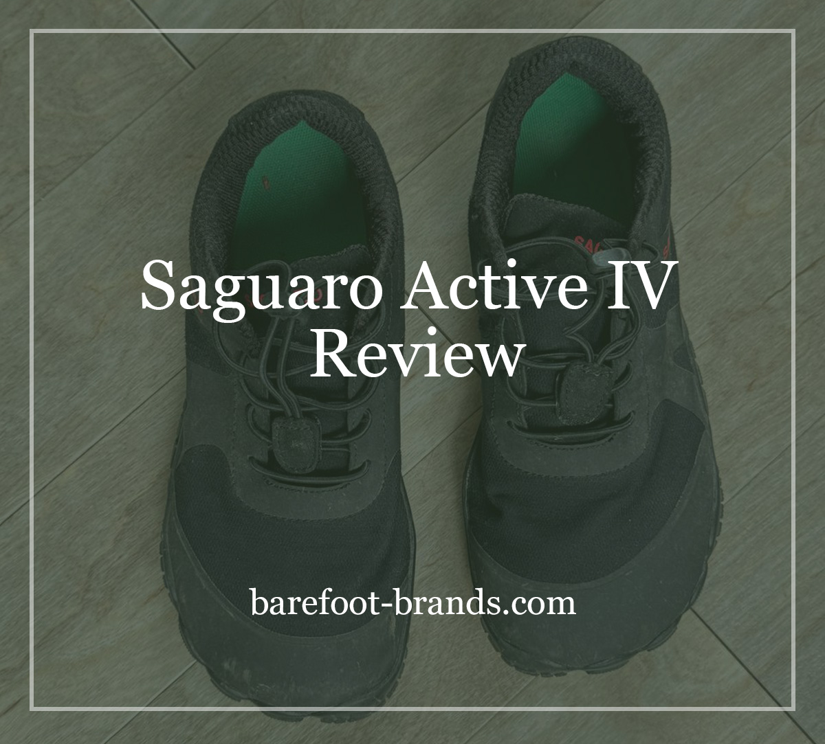 Saguaro Active IV Review