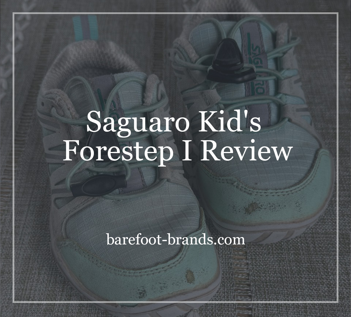 Saguaro Kid's Forestep Ⅰ Review
