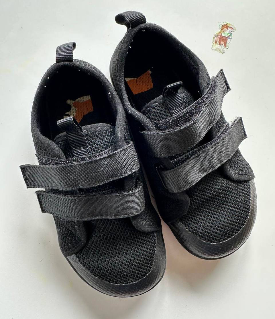 WateLves Shoes Top View